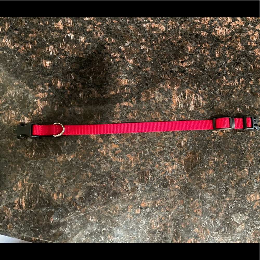 Small Red Nylon Leash - Picture 3 of 8